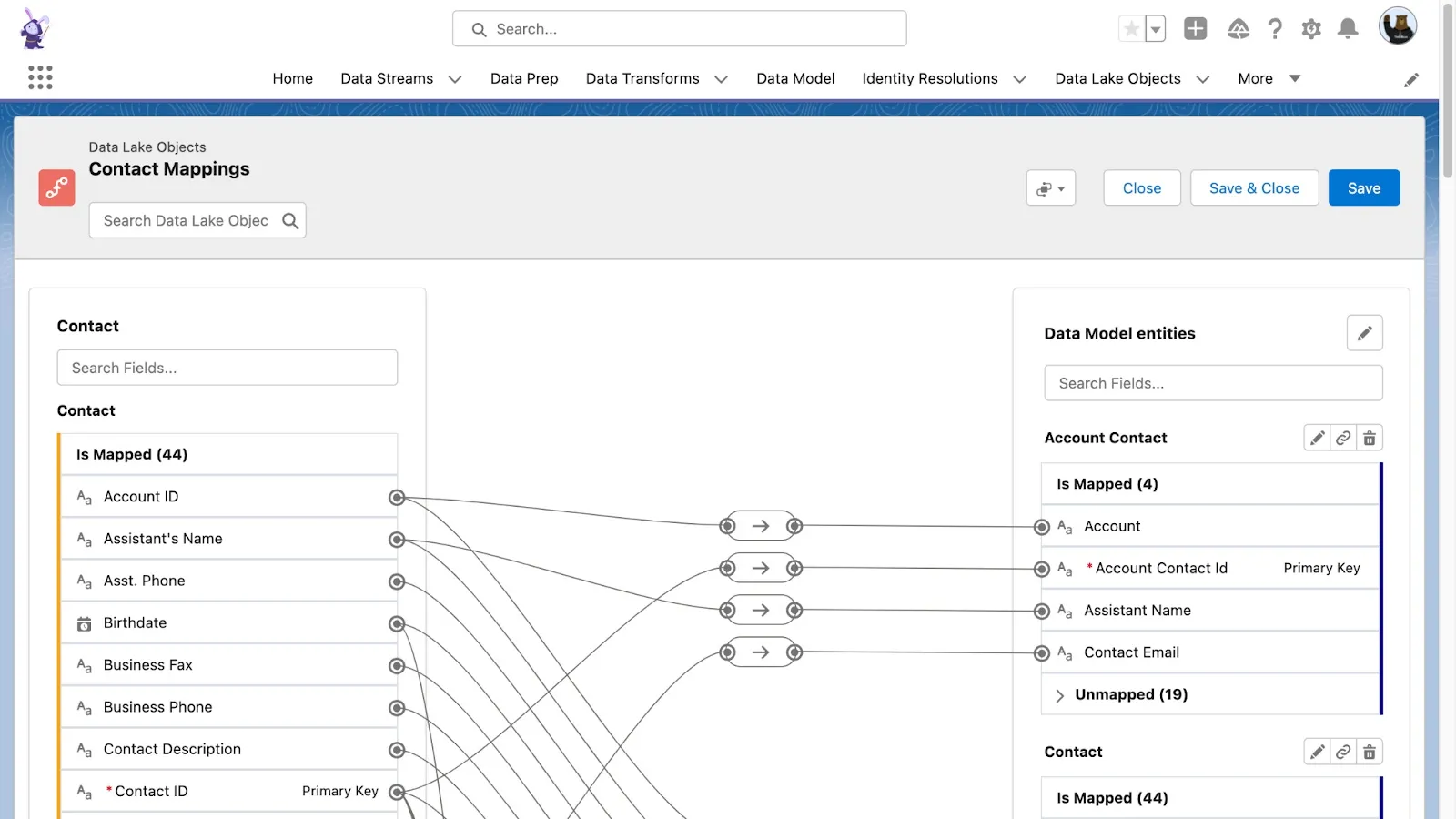 Salesforce Data Cloud Mapping
