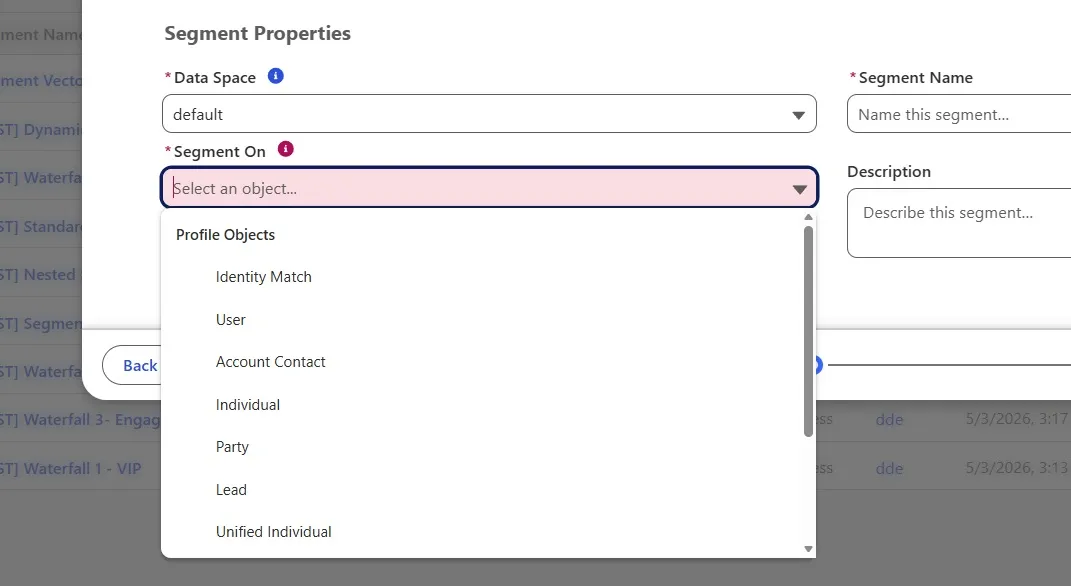 Segment On profile objects – Unified and non-unified DMO options
